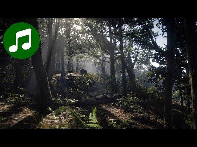 RED DEAD REDEMPTION 2 Ambient Music & Ambience  Day in the Woods (RDR2 Soundtrack | OST)