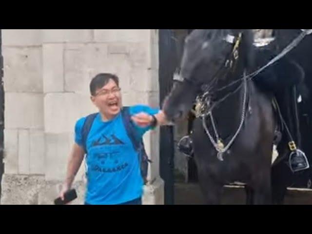 Horse bites holds on to his skin #thekingsguard