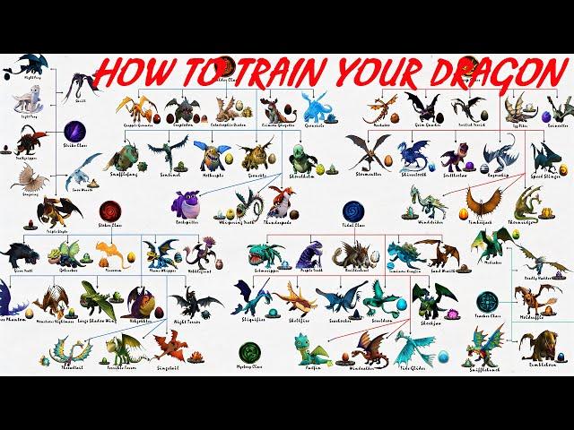 How To Train Your Dragon: Dragons, Dragon Classes And Eggs