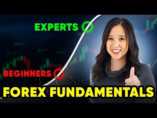 Forex Fundamentals Analysis for Complete Beginners to Level Up