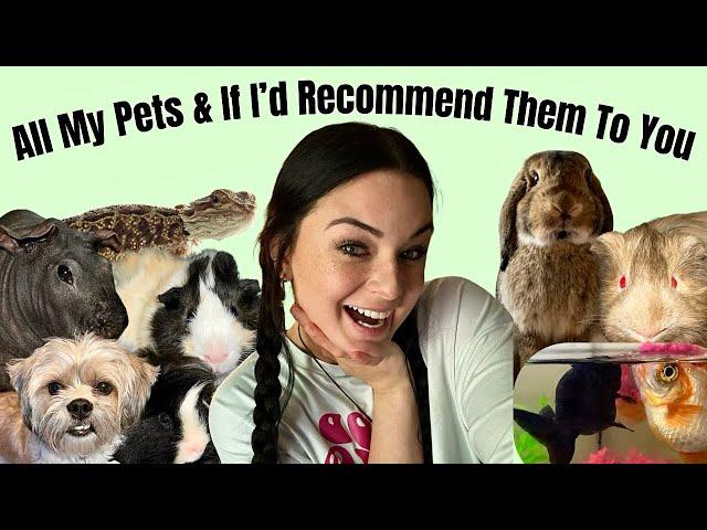 All Of My Pets And My Honest Opinions On Them!