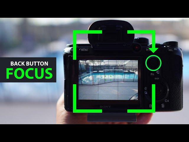 How To Setup BACK BUTTON FOCUS Sony a7iii alpha camera menu