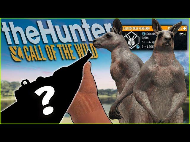 An Underrated Rifle Hunt Turns Into A LEGENDARY Kangaroo Hunt! Call of the wild