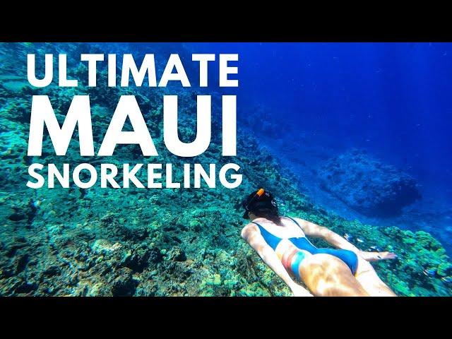 5 Best Maui Snorkeling Spots | Plus 2 Beginner, 4 Advanced, & More