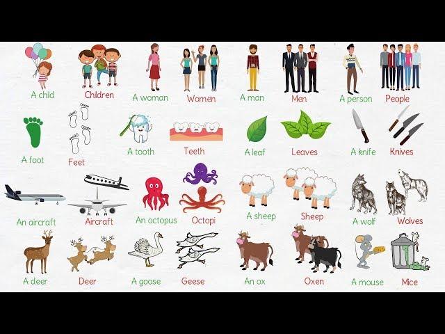 Irregular Plural Nouns in English | Singular and Plural Nouns