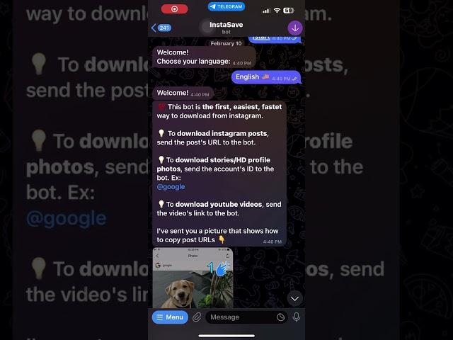 Telegram bot to Download Instagram Stories, Profile Pictures & Posts