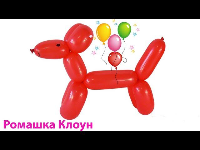 How to Make a  Balloon Animal Dog DIY TUTORIAL