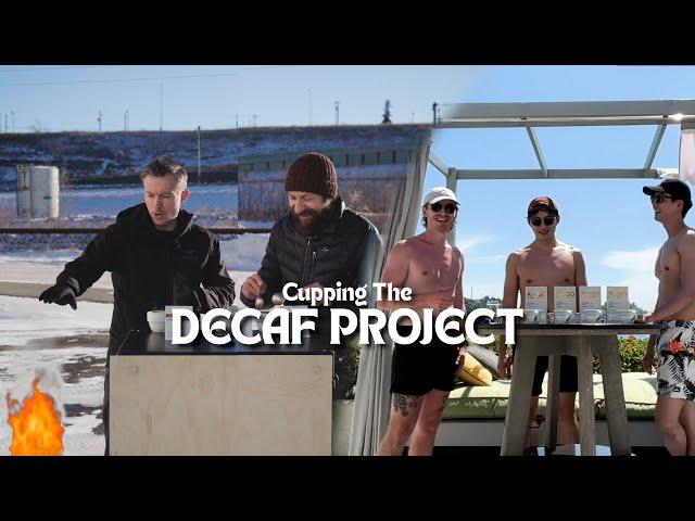 Tasting the James Hoffmann Decaf Project 