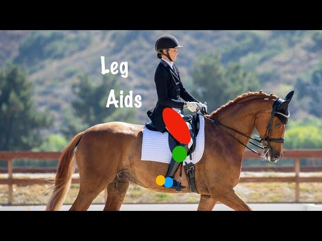 Get Your Leg on - How  to Use Your Leg Effectively in Dressage