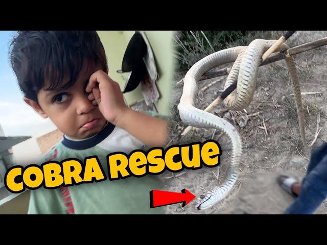 Cobra Snake Rescue Kiya Hatho Me Utha Liya  Viuuu Ko Laga Chata