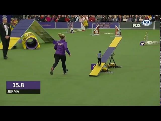 Jerma985 - jerma crushes the Westminster agility course