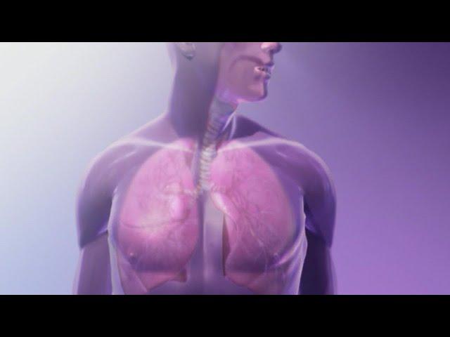 New report offering hope in lung cancer survival rates