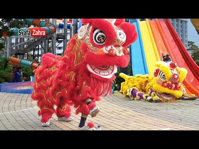 Barongsai 2020 main di Kolam Renang Atlantis Ancol - Lion Dance cny 2023