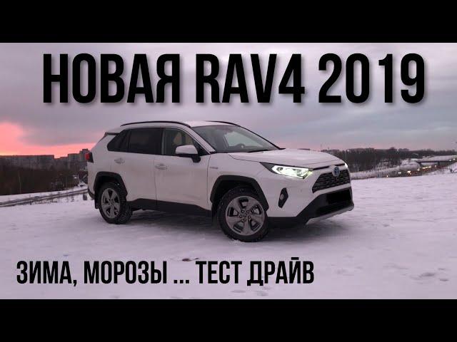 Toyota RAV4 2019 Тест Драйв, Обзор, Впечатления