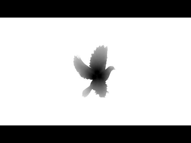 Mesmerizing White Dove Shaped Ink Animation Overlay | Unique Visual Effects!