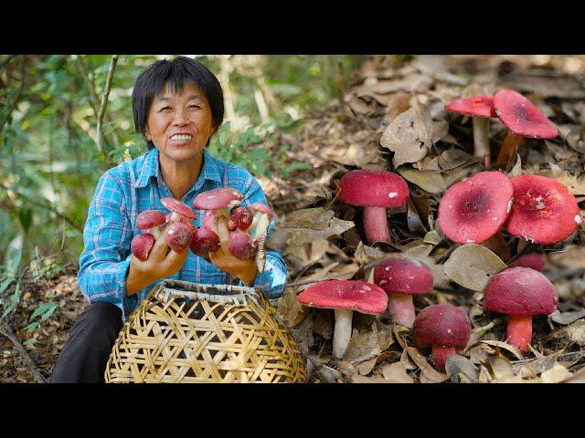 Red mushroom dried steamed eggs stewed ribs  fresh sweet and delicious!