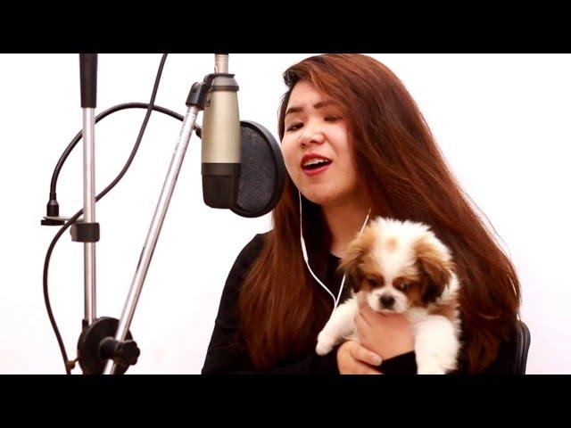 PILLOW TALK - ZAYN MALIK (Acoustic Cover x ANJELLICA)