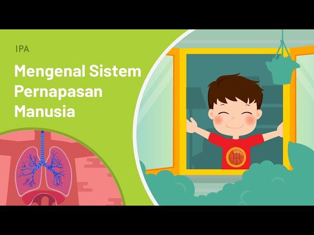 Sistem Pernapasan Manusia: Gimana Sih Cara Manusia Bernapas? | IPA | SayaBisa