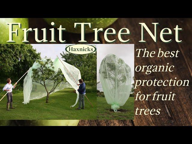 Haxnicks Fruit Tree Net - the best organic frost & pest protection for fruit trees