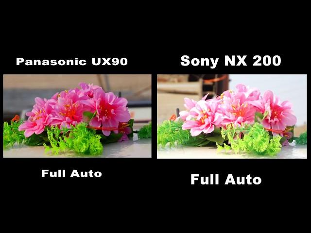 Panasonic UX90 VS Sony NX 200 4k Video camera comparison