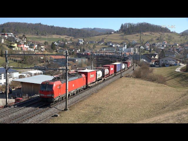 IR 36 mit SBB Re 460 und DB Vectron 193 mit Intermodal Zug