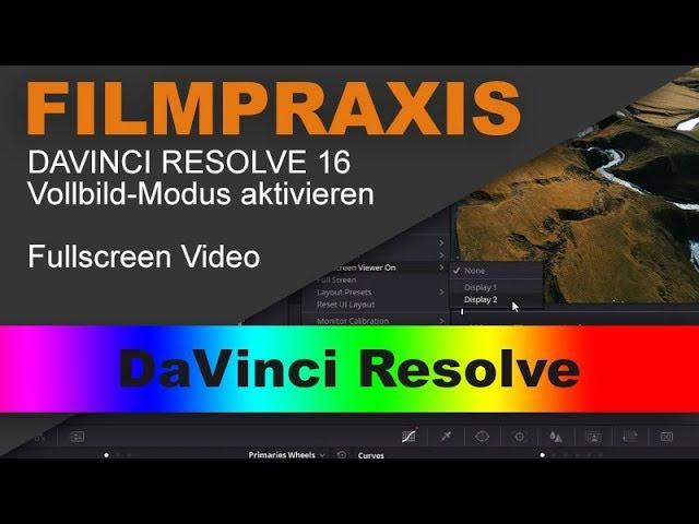 DaVinci Resolve 16 - Neuen Vollbildmodus nutzen (Fullscreen Video)