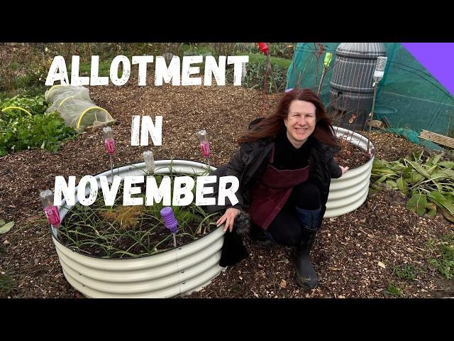 November Allotment Tour - Allotment Gardening For Beginners UK