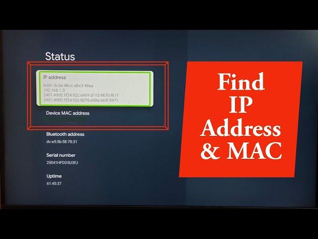 Google TV : How to Find IP Address