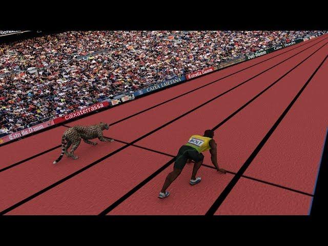 Speed Comparison: Average Person VS Usain Bolt & Cheetah