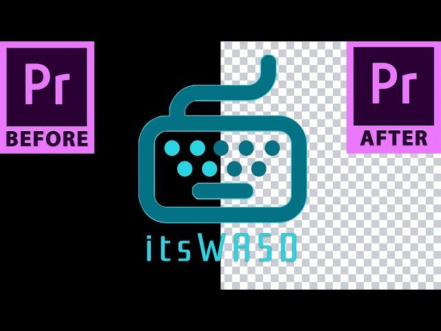 How To Export With A Transparent Background - Adobe Premiere Pro Tutorial (4K)