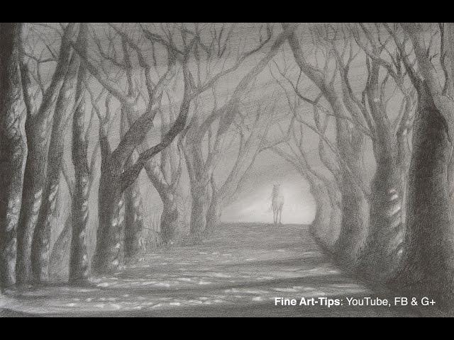 How to Draw a Road With Trees - Light and Shadow Path With Pencil