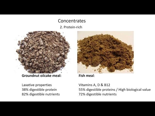 Lesson 8   Feed types and supplements