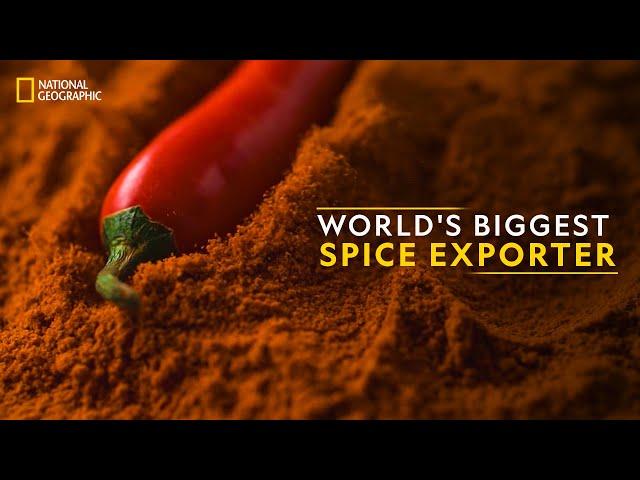 World's Biggest Spice Exporter | It Happens Only in India | National Geographic