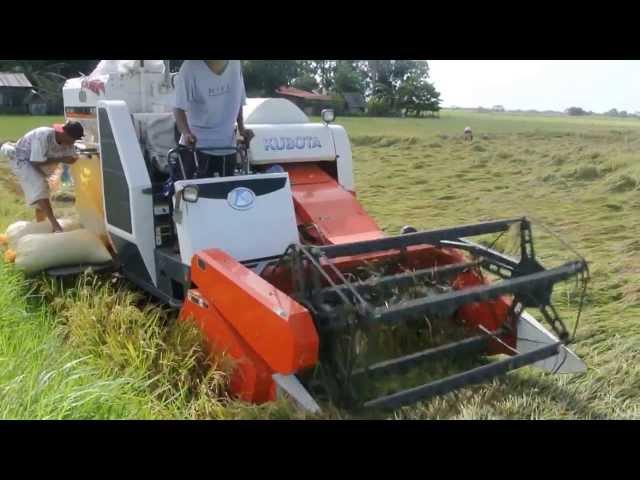 02 KUBOTA DC60 COMBINE HARVESTER OTON ILOILO PHILIPPINES 2013