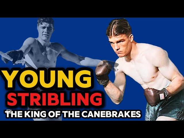 ️ Unraveling the Tragedy of Young Stribling: A Boxing Legend's Story