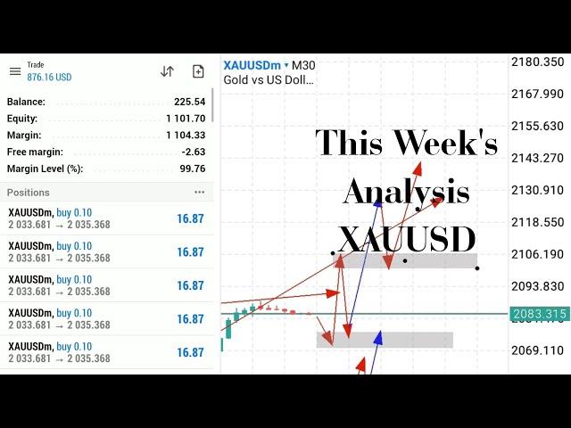 Private Requested Video, Technical Analysis