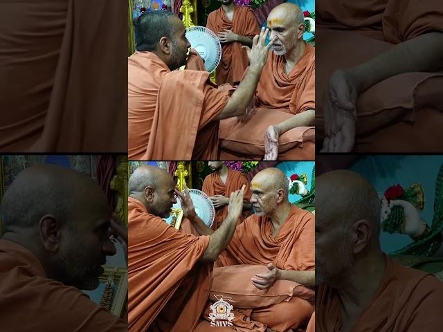 Modasa Guru Purnima Celebration | HDH Swamishri Vicharan 2024 | #shorts