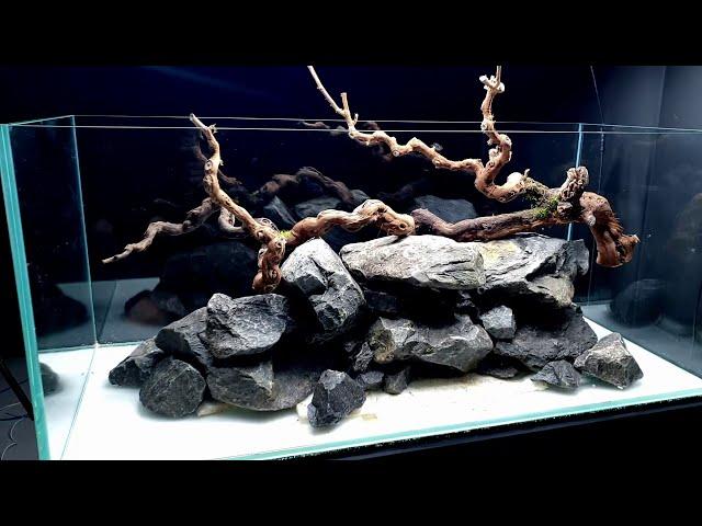 Aquascape Tutorial: 360° River Aquarium / Paludarium / Aqua Terrarium || MD FISH TANKS