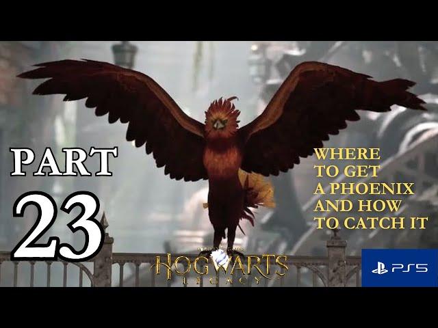 HOGWARTS LEGACY PS5 Walkthrough Gameplay Part 23 - RARE PHOENIX (FULL GAME) #hogwartslegacy #ps5