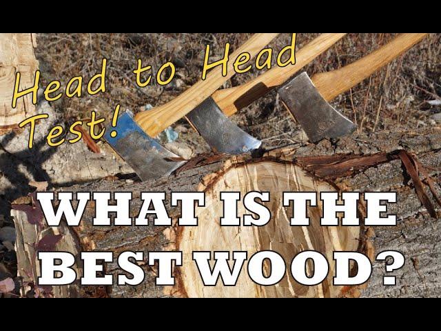 What is the Best Wood for Axe Handles?