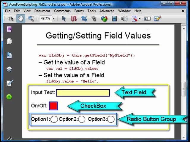 PDF Form Field Scripting Basics