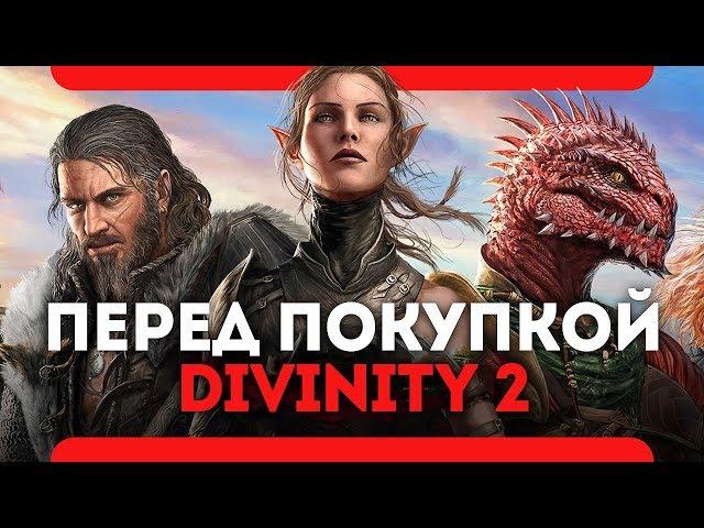 Что нужно знать перед покупкой Divinity Original Sin 2