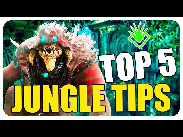 The 5 BEST TIPS for JUNGLE! (Predecessor)