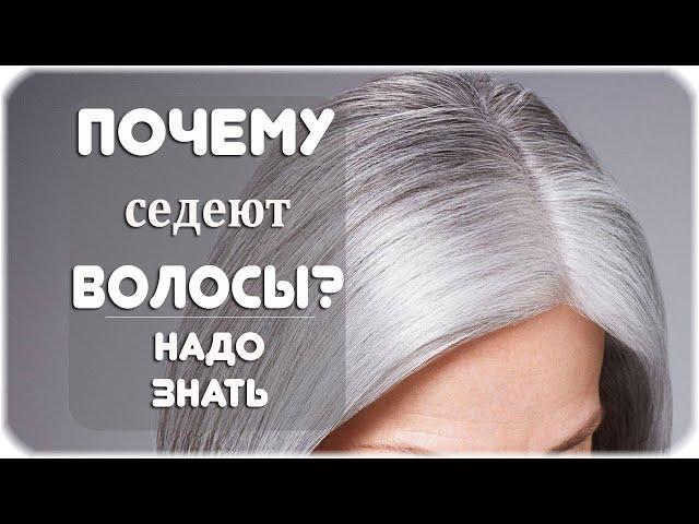 Почему седеют волосы?