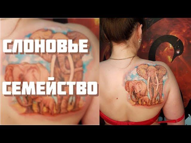 Слоновье семейство | Процесс нанесения татуировки