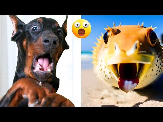 Funny Animal Videos 2023 - Comedy Voiceover! #12