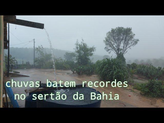 Novembro 2021/ 122mm em 6 dias. chuva superou a média histórica em Anagé Bahia.