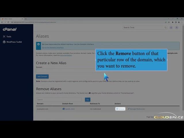 How to Remove Domain Alias or Parked Domain name in cPanel with CloudSpace