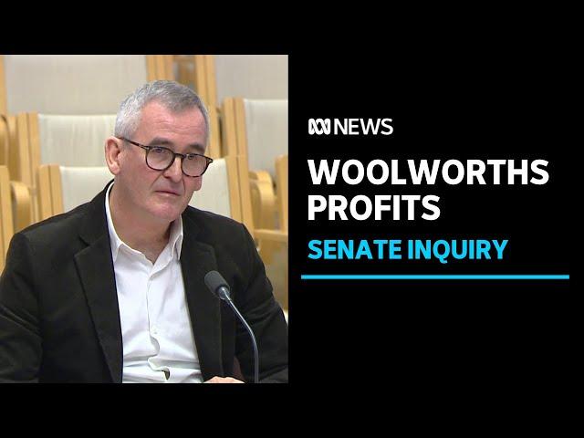 Woolworths CEO Brad Banducci grilled in Senate inquiry into price gouging | ABC News