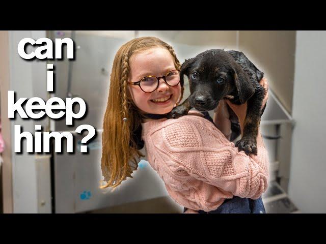 10-Year-Old Has Only 10 Minutes to ADOPT A PUPPY *Emotional*